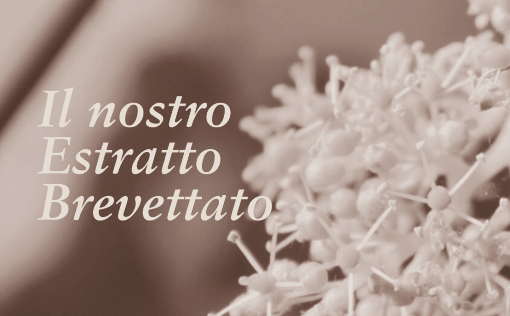 BREVETTO SEBOVIT VITIS VINIFERA